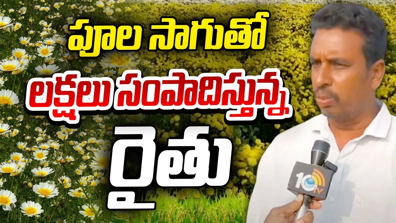 Chamanthi Flower Cultivation | పూల సాగుతో లక్షలు సంపాదిస్తున్న రైతు | Agri Tips | 10TV