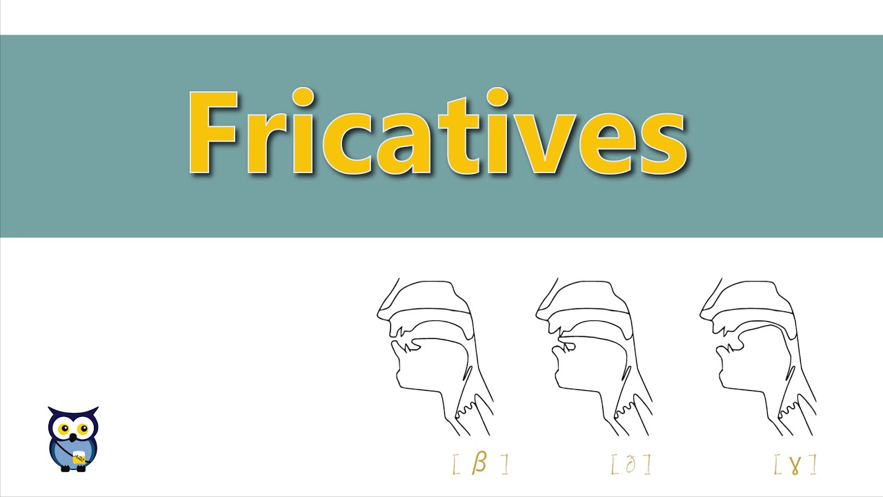 Fricatives