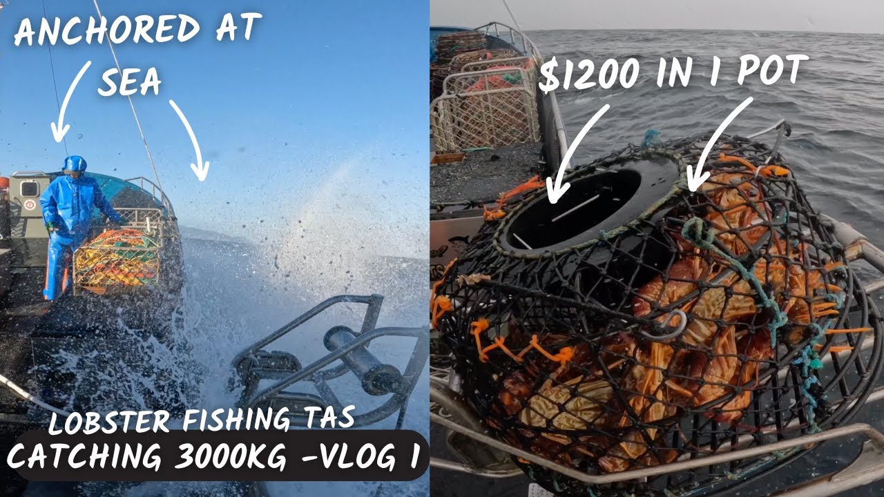 Catching 3000kg of Rock Lobster in the southern ocean. The bottom of Tasmania. Ep 1