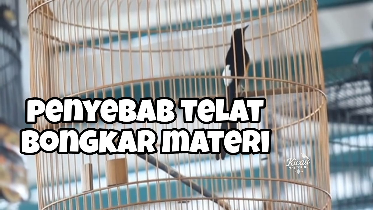 Bongkar nya kok telat ini solusinya 