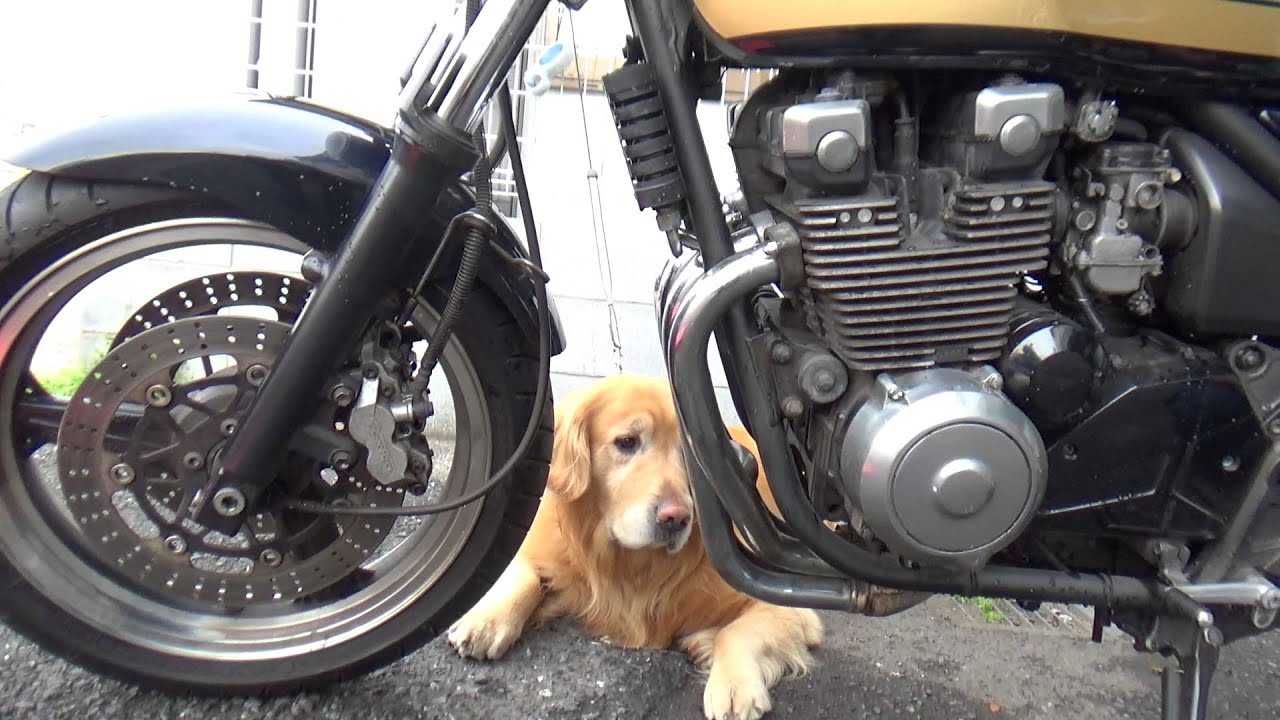 バイクの金属および塗装部の激しい汚れを落として磨き上げる方法