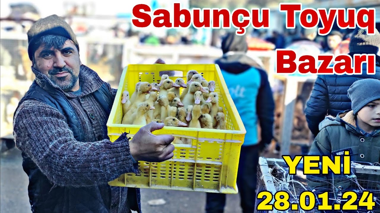 Sabunçu Toyuq Bazarı  28 yanvar 2024 ‎@mubarizemintv 
