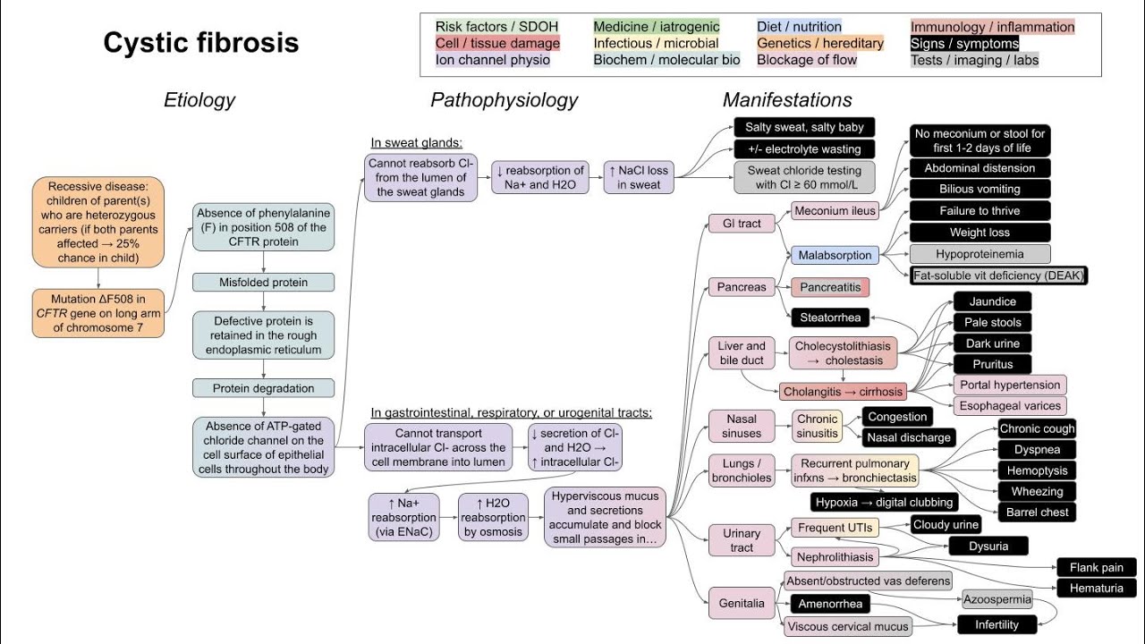 Cystic fibrosis (mechanism of disease)
