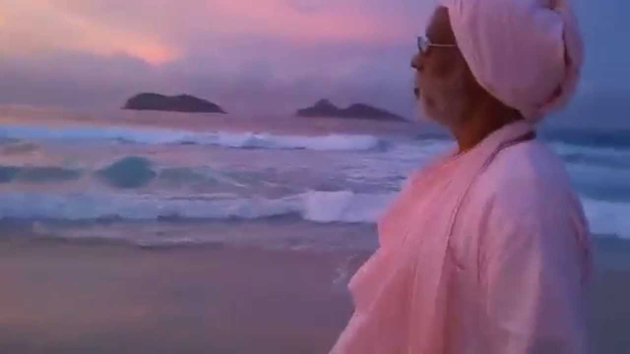 JayGurudev.Org - Gurudev krpa bindu diya - Srila BV Vana Gosvami Maharaj