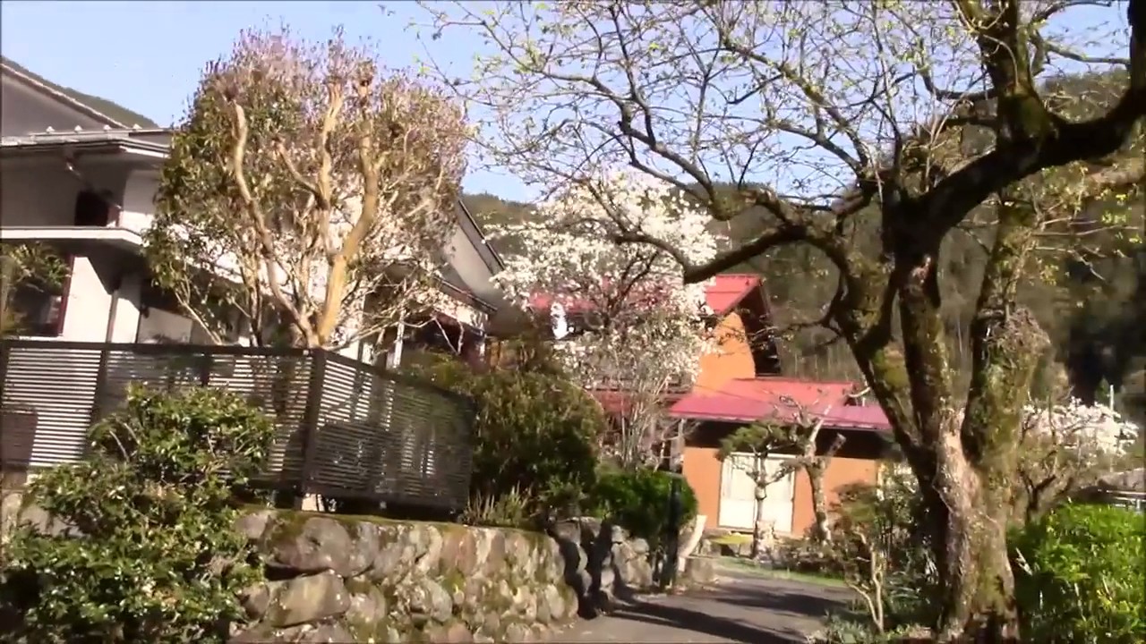 All The Way From Japan 1-  My Town