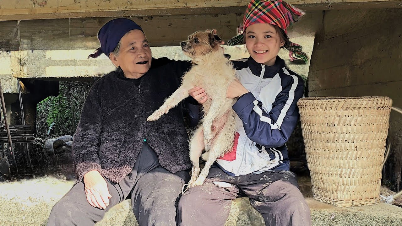 Бездомная бабушка и ребёнок спасают собаку: Золотое сердце в бедности.