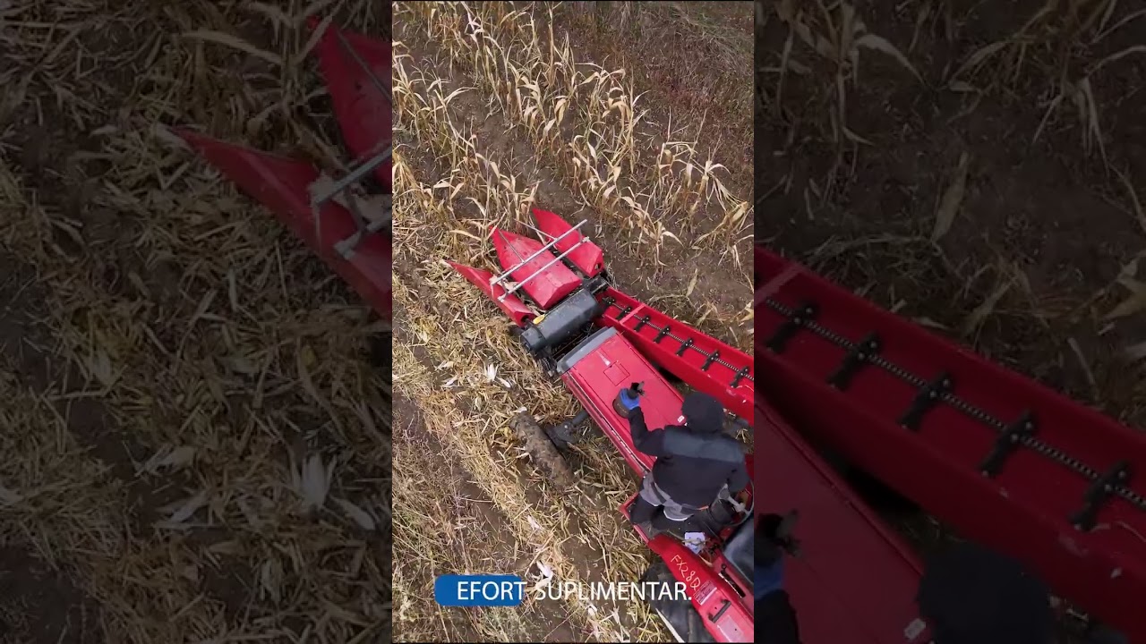 Heder de Porumb Tractat: Recoltarea Eficientă la Ozonteh