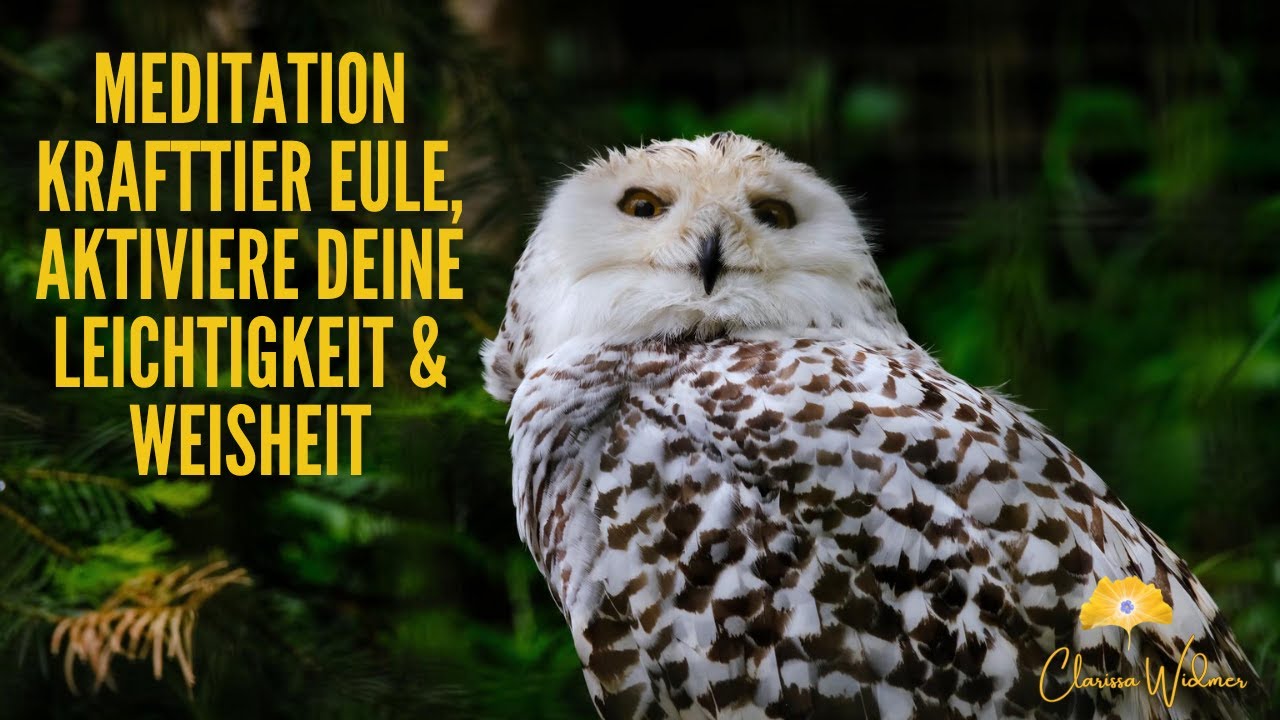 Meditation Krafttier Eule, aktiviere deine Leichtigkeit & Weisheit