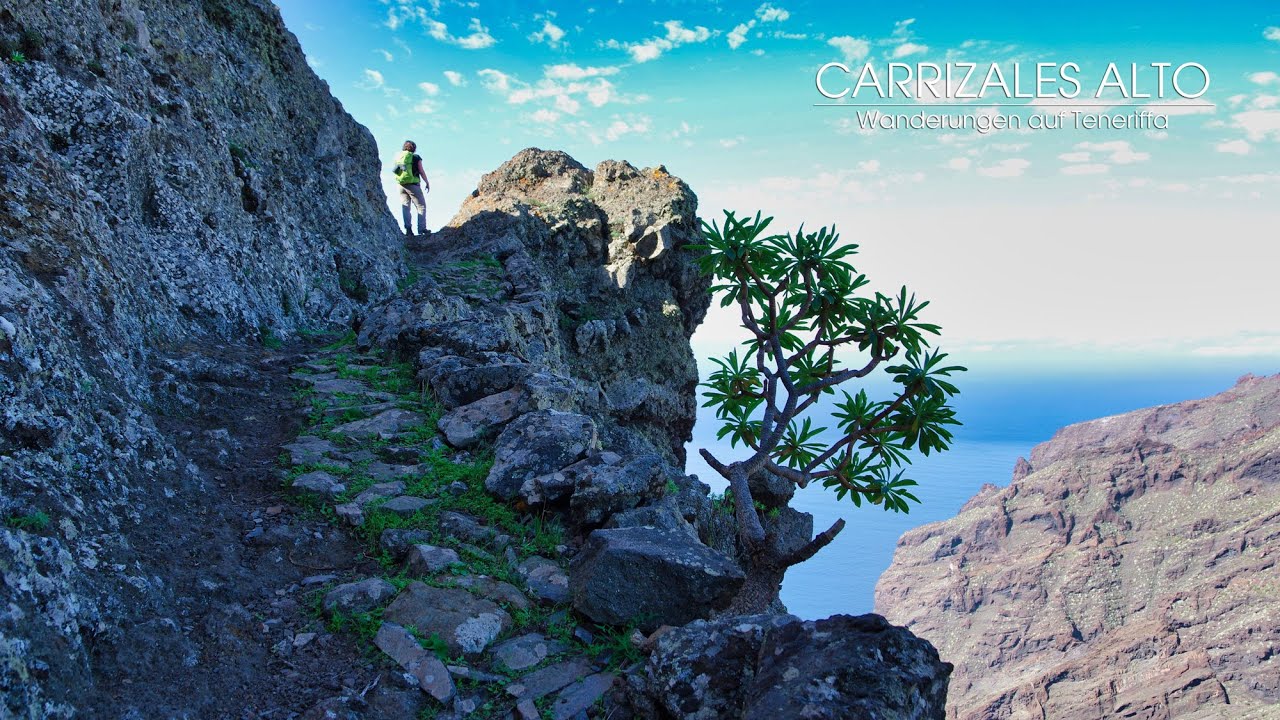 Wanderungen auf Teneriffa - Los Carrizales Alto (Tour 6)