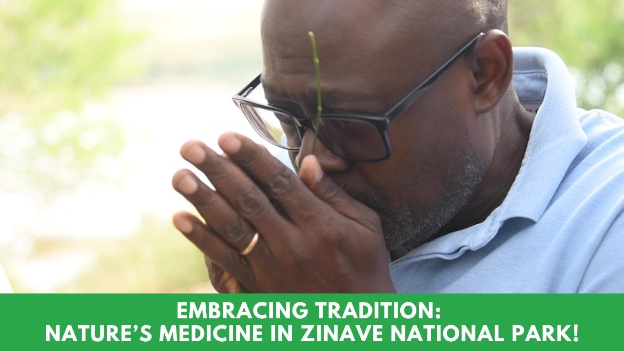 Embracing Tradition: Nature’s Medicine in Zinave National Park!