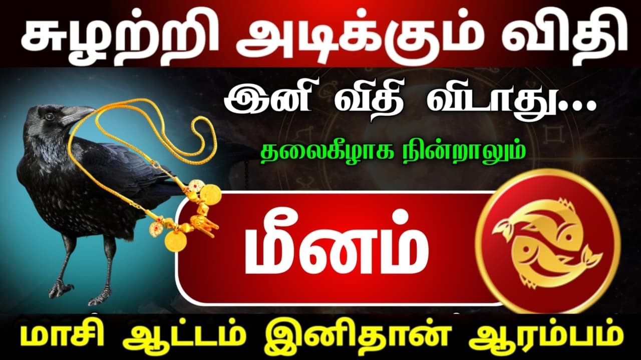 மாசி மாத ஆட்டம் இனிமேல் தான் ஆரம்பம் சுழற்றி அடிக்கும் விதி மீனம் ராசிக்கு !