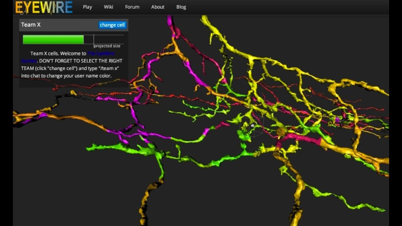 EyeWire | A game to map the brain