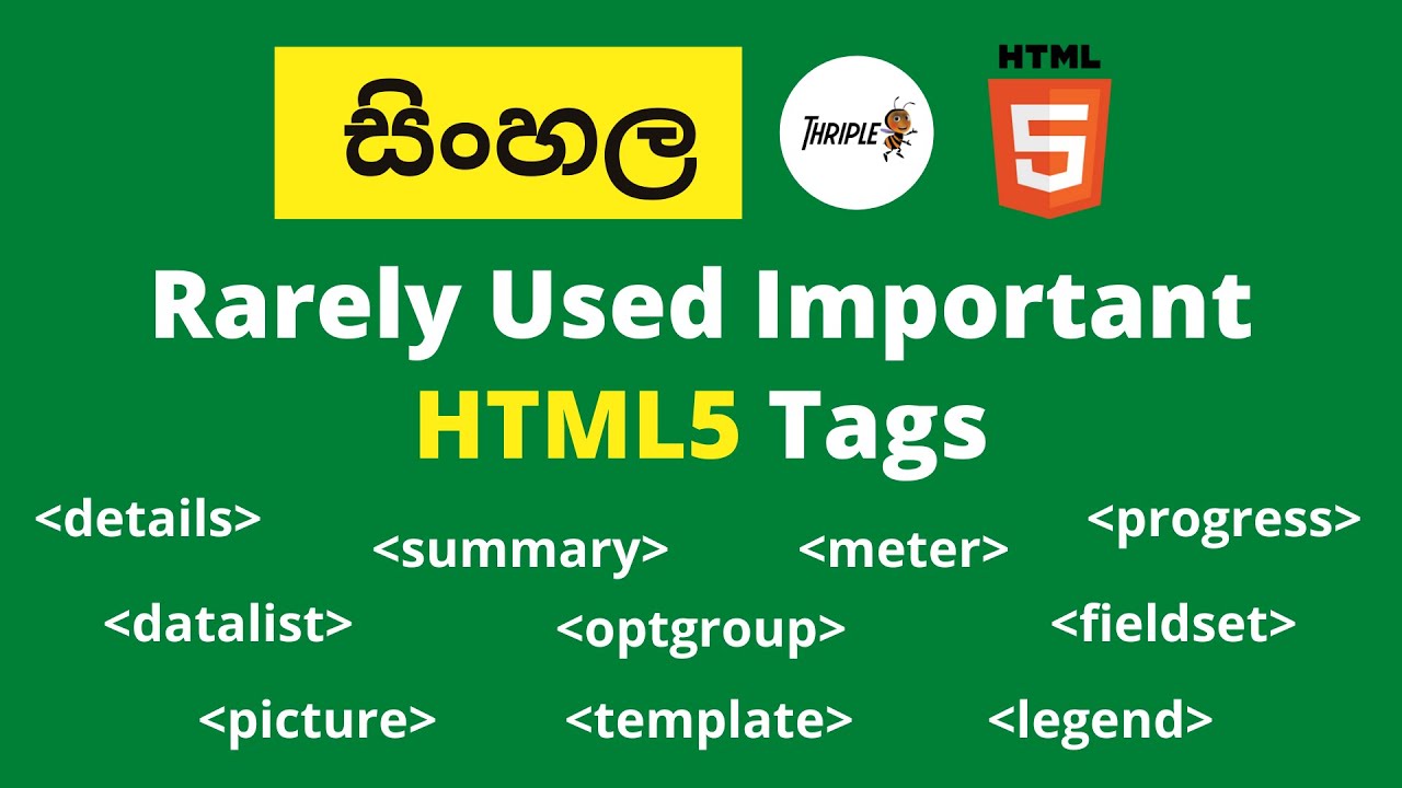 Learn in One Video - Rarely Used Important HTML5 Tags - Sinhala.mp4