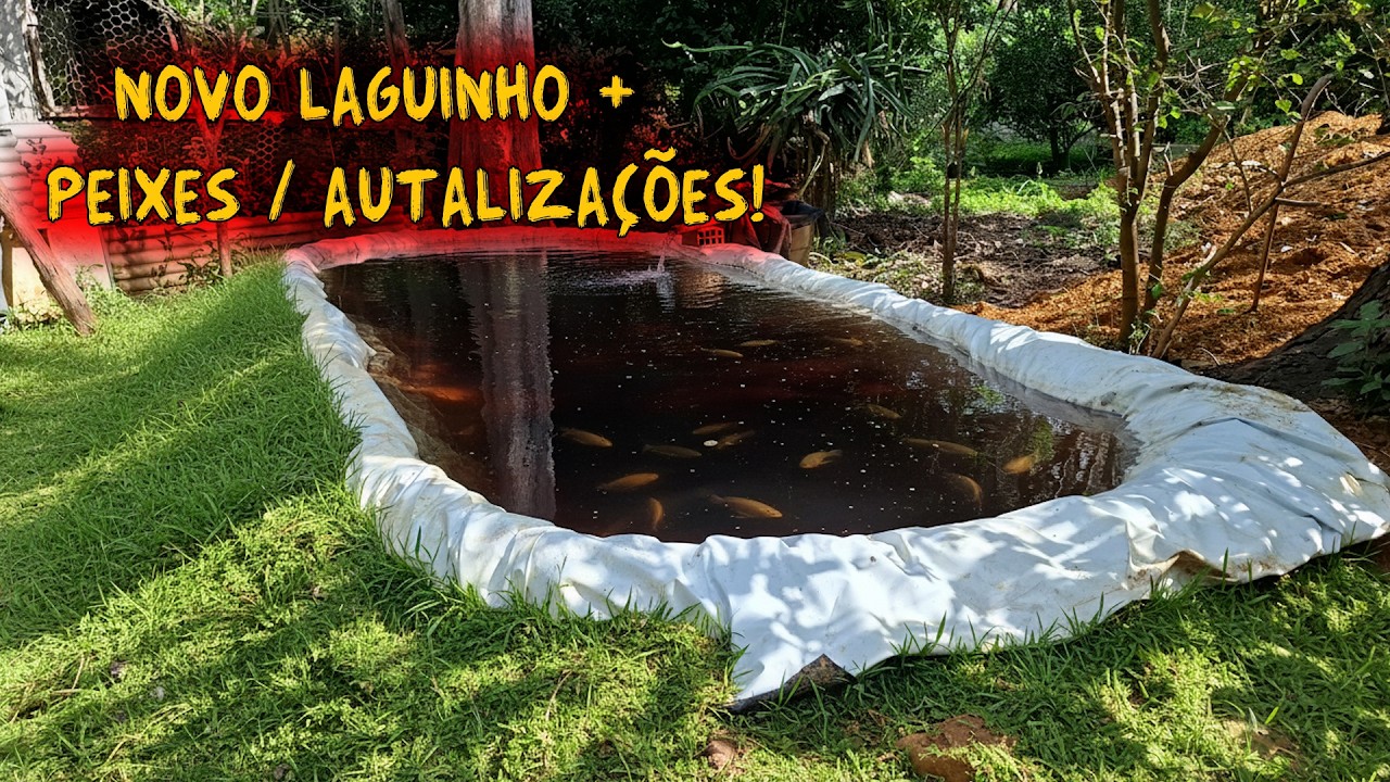 EXISTEM COISAS NESSE MUNDO QUE POR MAIS QUE VIVAMOS NUNCA TEREMOS VISTO DE TUDO!