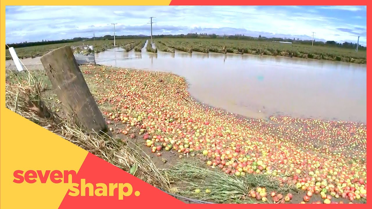 The aftermath of Cyclone Gabrielle | Seven Sharp