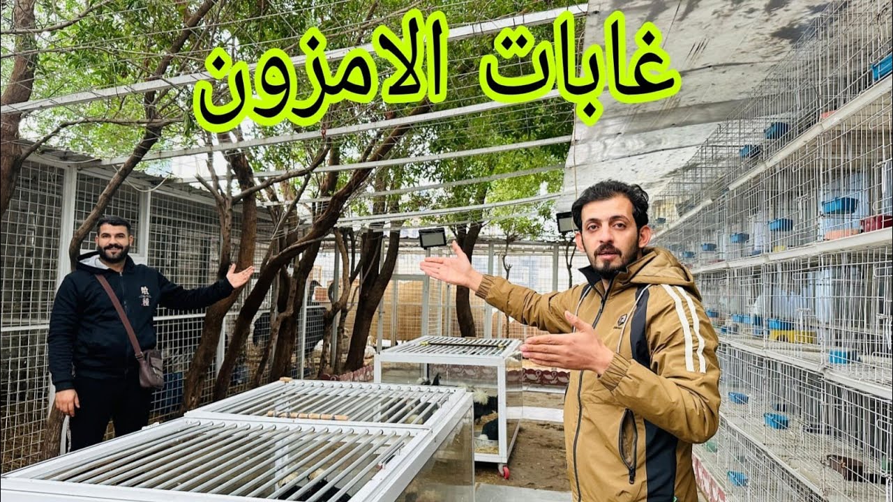 جوله في غابات الامزون والكن تفاجت 