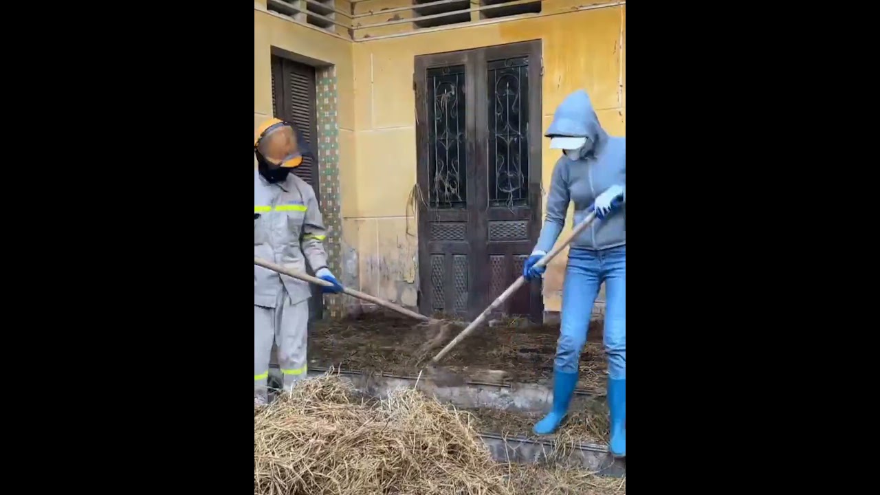 Разорившаяся супружеская пара начинает новую жизнь, ремонтируя старый фермерский дом.