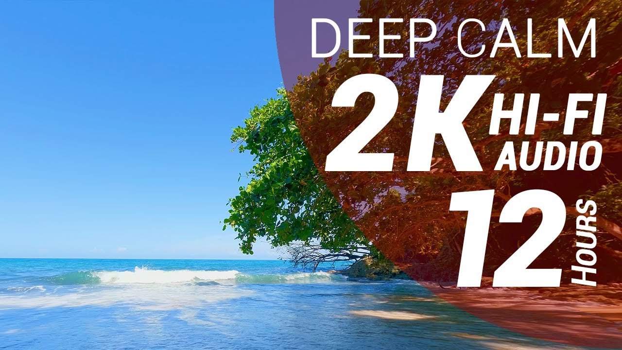 12 Hours of Waves Sounds - Caribbean Beach (2K - Hi-Fi Audio - No Talking)