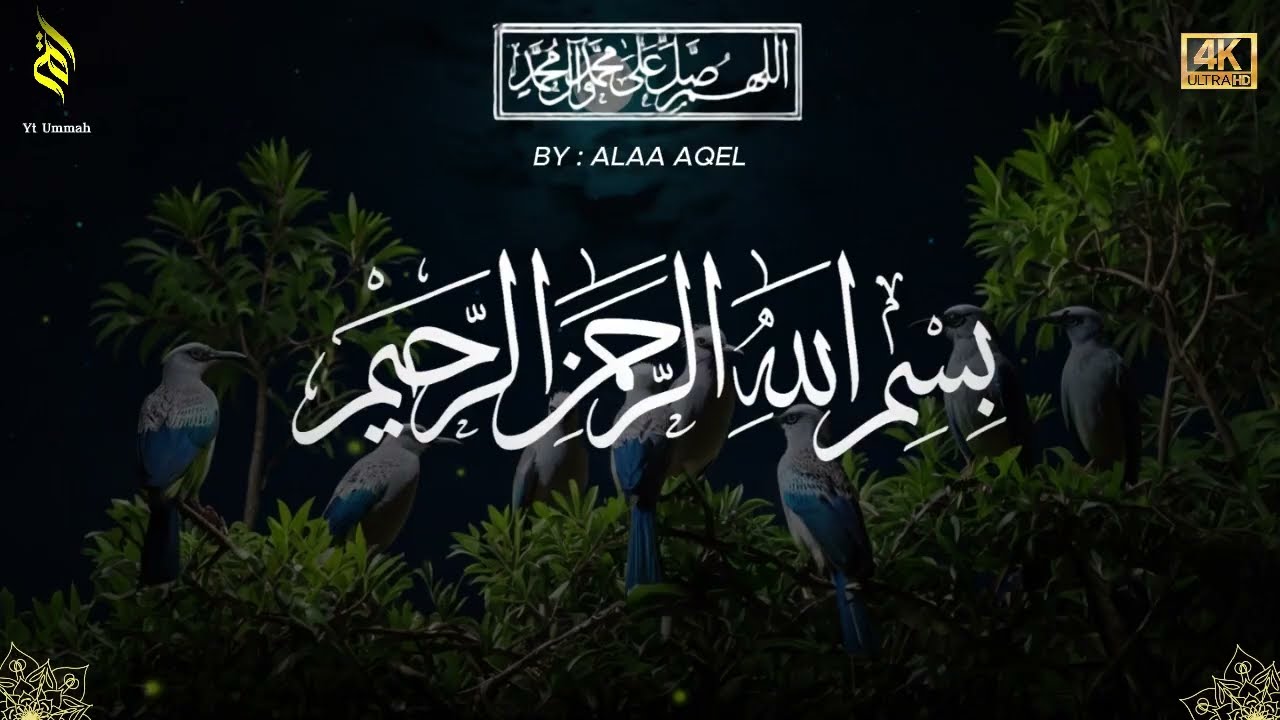 Quran recitation in a peaceful voice I ayat al kursi, yasin, alkahfi, alwaqiah, arrahman, Alaa Aqel
