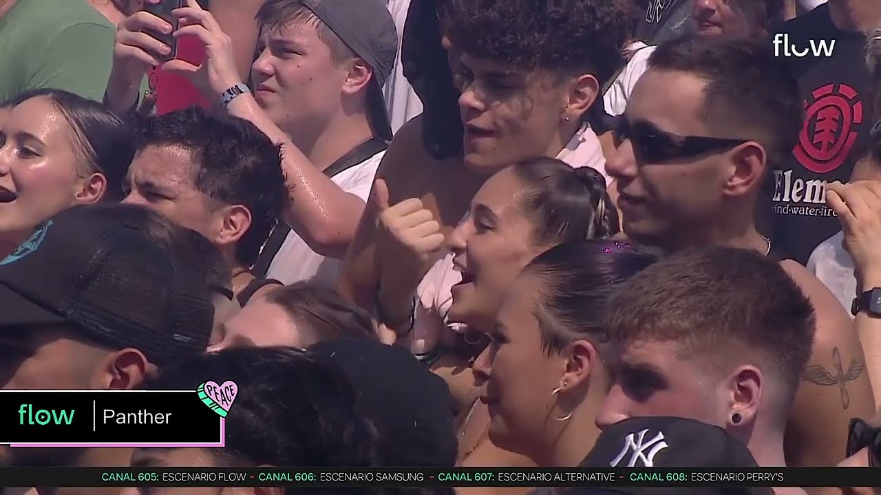 SHOW PANTHER LOLLAPALOOZA 2023