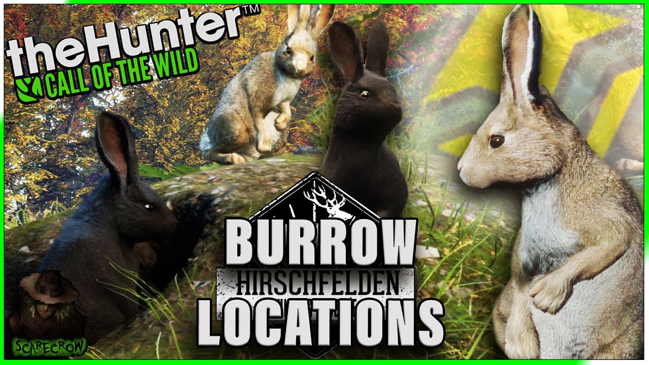 20 BURROW LOCATIONS For European Rabbit + 2 Melanistic & 1 Diamond Light Grey! Call of the wild
