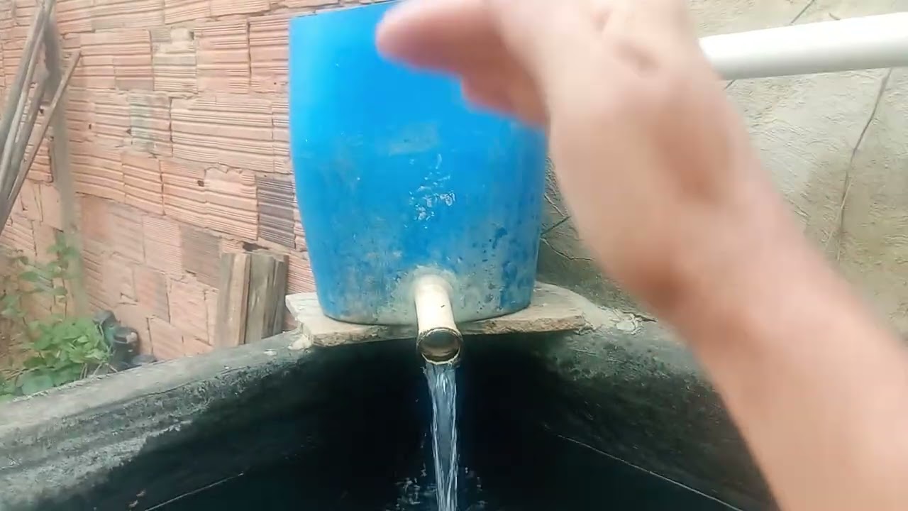 Porque eu não deixo meus tanques de tilápias com a capacidade de água baixa por muito tempo?