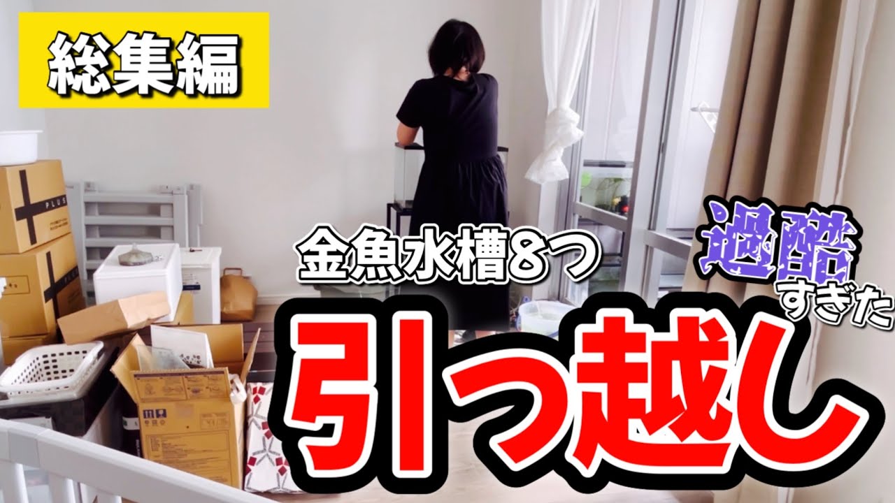 【まとめ】金魚水槽8つ引っ越し作業をぜんぶ見せ。過酷な移動と立ち上げ、水槽紹介まで。