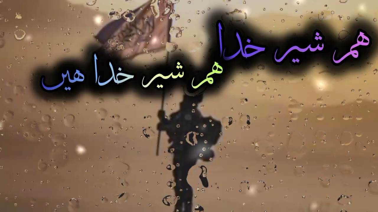 Hum sher e khuda hen#abdulwadoodasim #tarana #youtube #foryou 