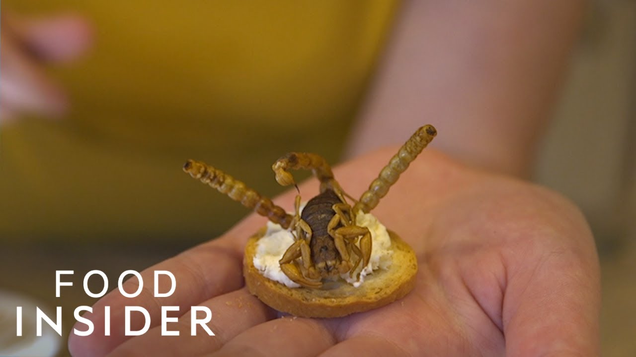 Why Americans Don&rsquo;t Eat Bugs
