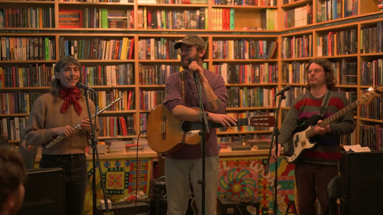 Plastic Wildflowers - Parallel Worlds 2/16/26