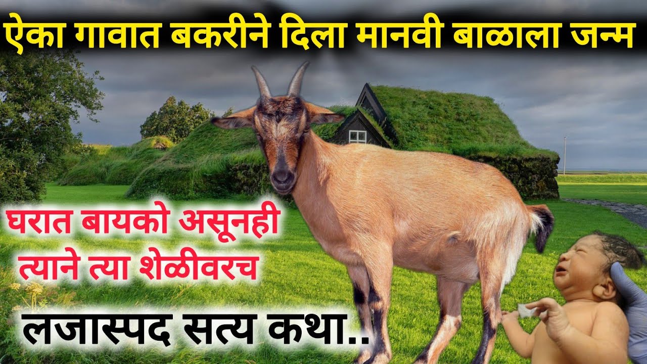 ऐका गावात बकरीने दिला मानवी बाळाला जन्म | म्हणजे त्या दिवशी त्याने त्या बकरीसोबत |मराठी कथा | #story