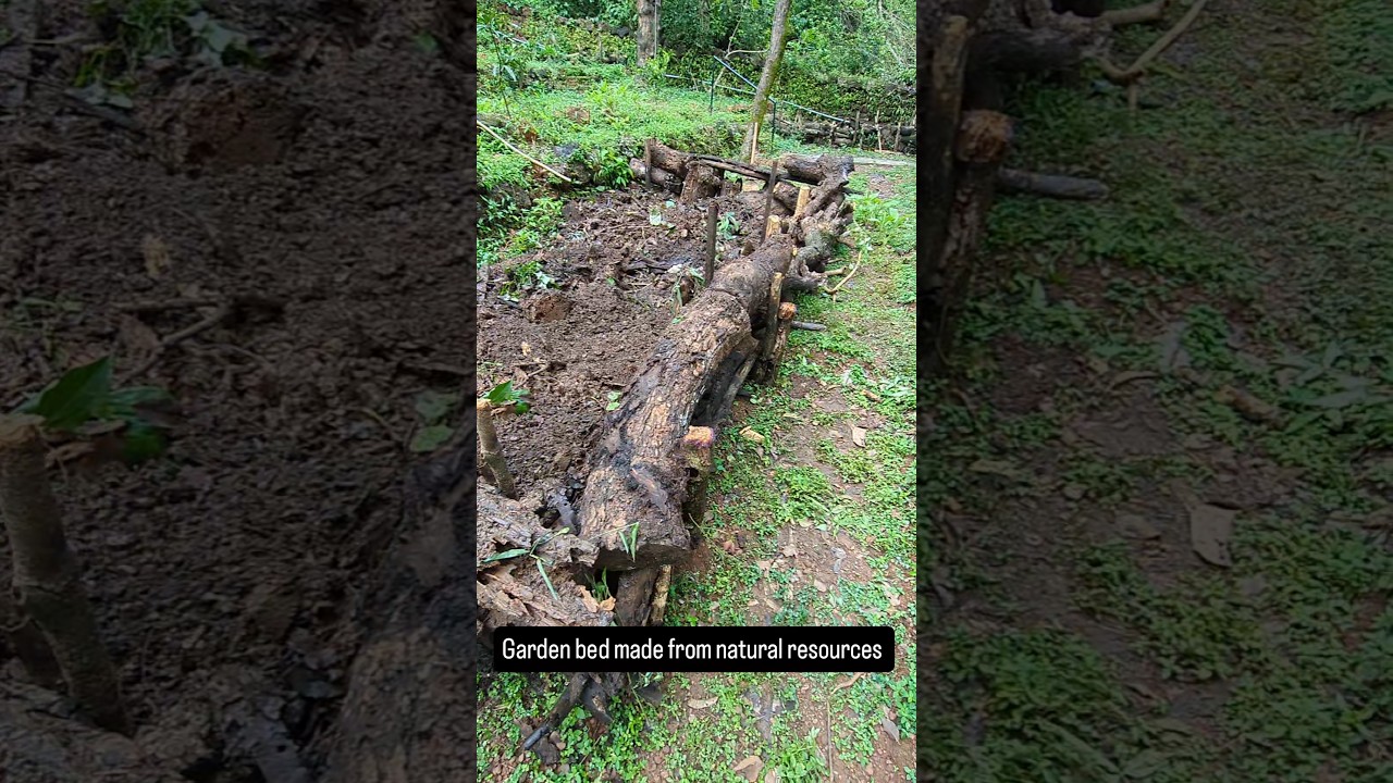 Garden bed made from natural resources.