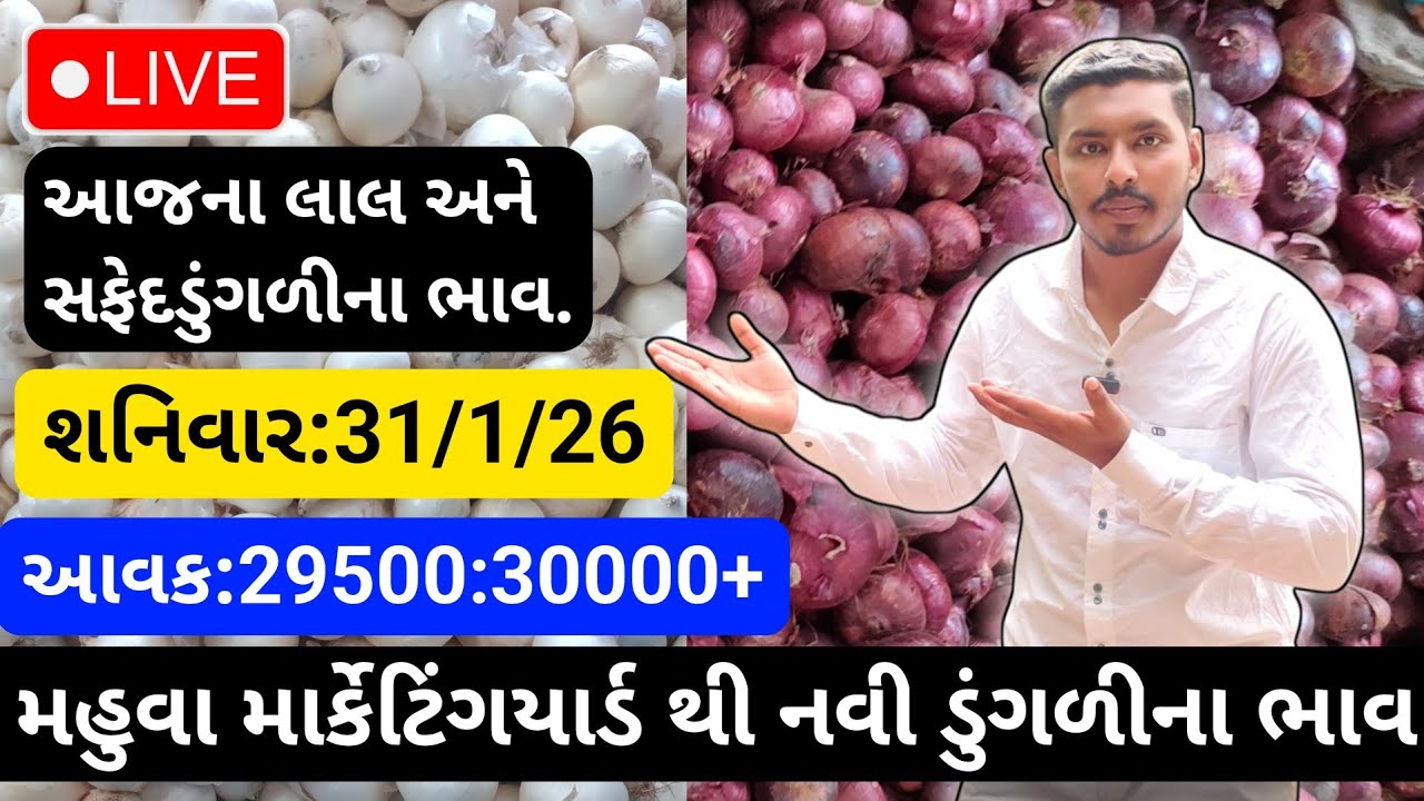 મહુવા થી લાલ અને સફેદડુંગળીના ભાવ🔥| 31/1/26 | White & Red Onion Market Rate Today💸| लाल ओर सफेद भाव🧅