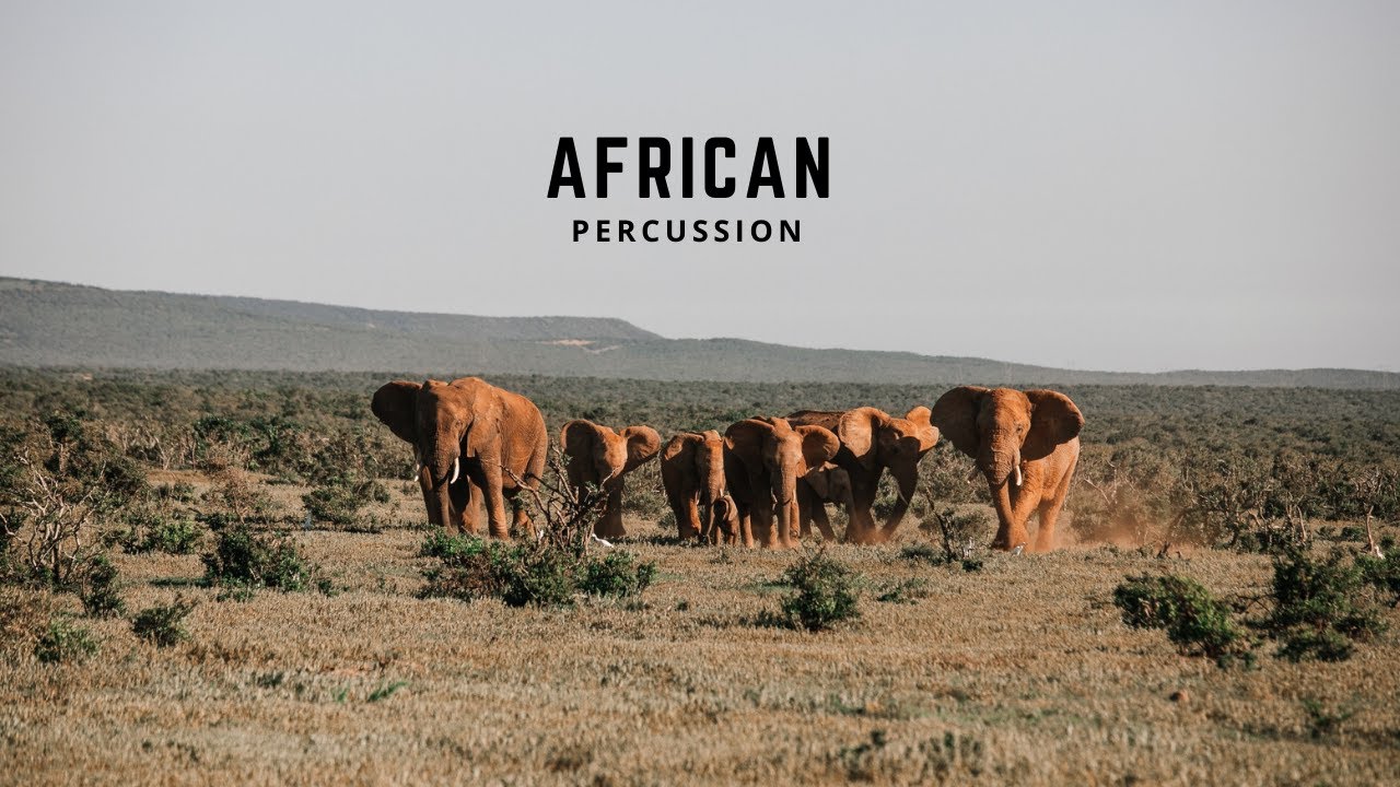 African Percussion  [Copyright Free]