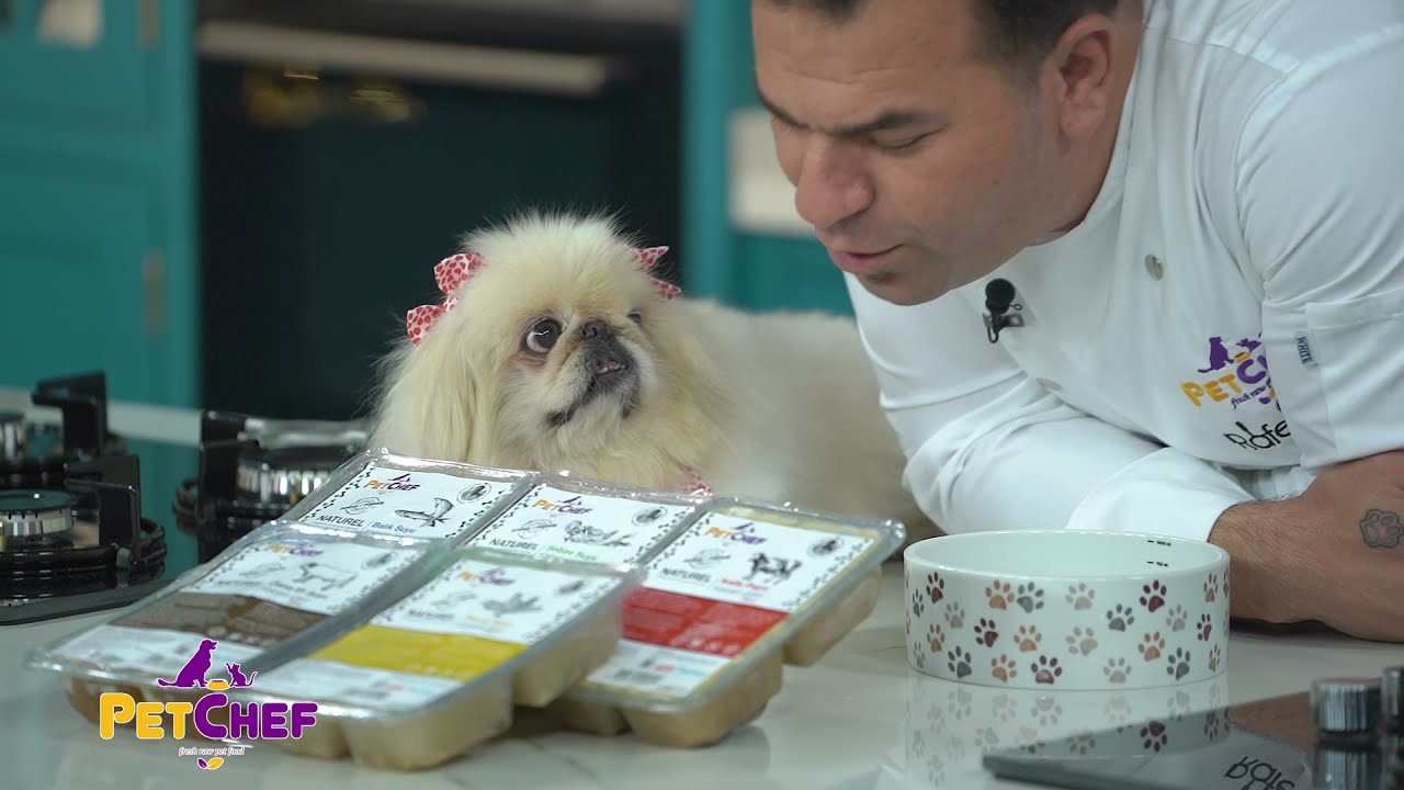 Petchef Et Suyu