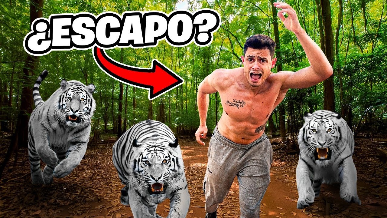 PROBLEMAS con un TIGRE de BENGALA...