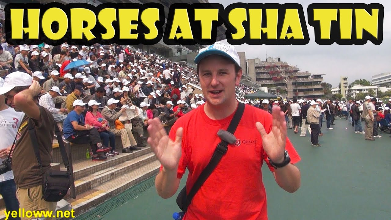 Hong Kong Horse Racing at Sha Tin Travel Guide