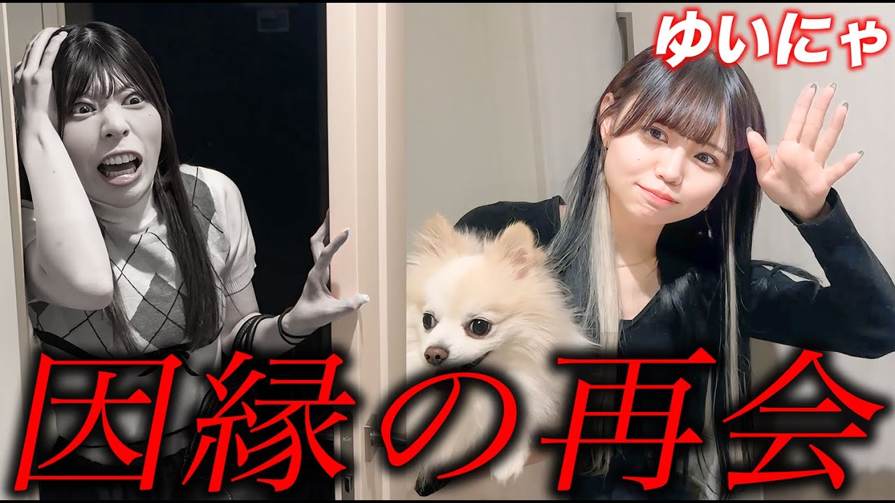 ガチ喧嘩中の元メンバーにあわせてみたw w w