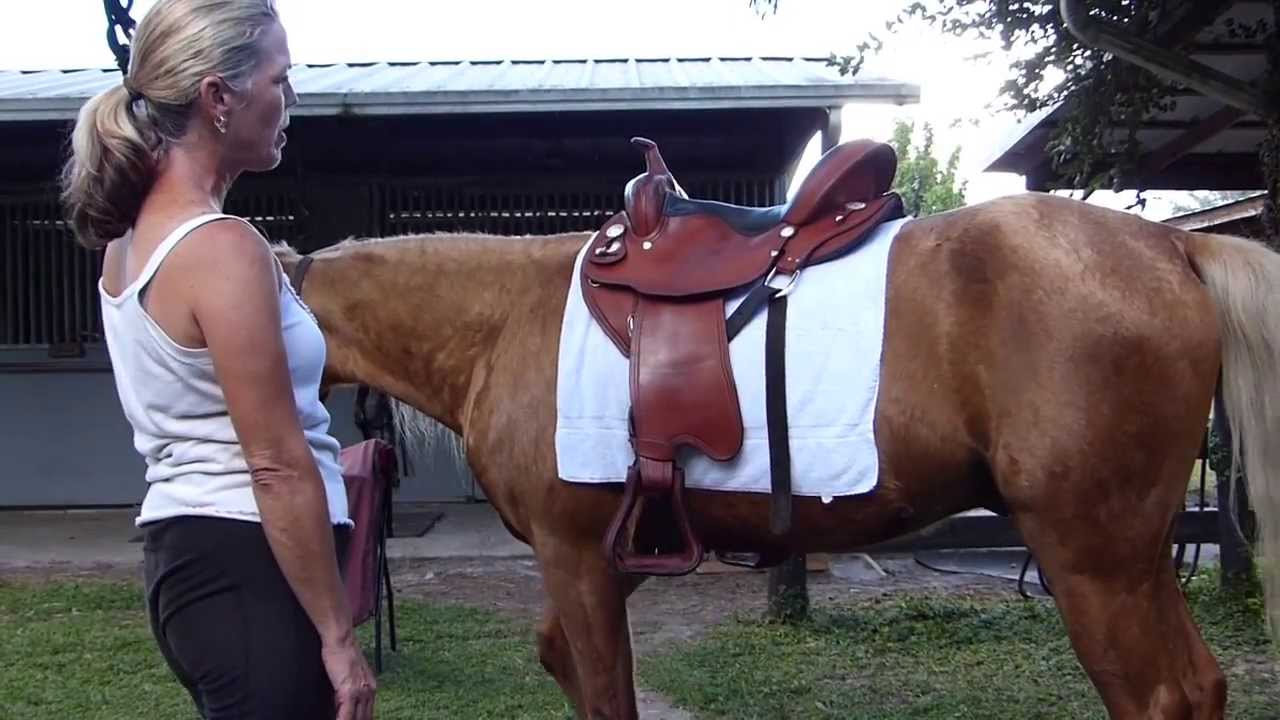 Western Saddle Fitting, The Traveling Saddle™