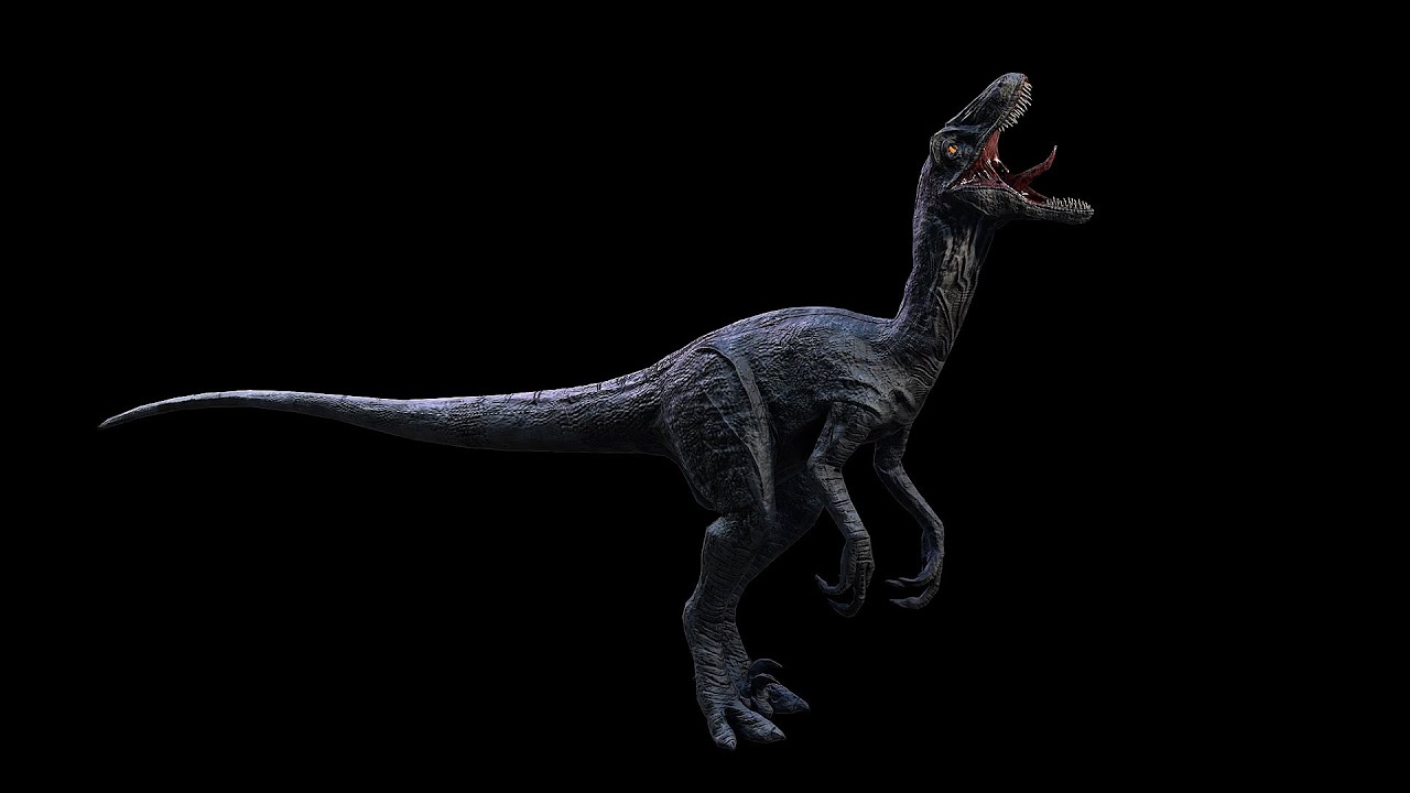 Raptor | Velociraptor Dinosaur(ShortVer)
