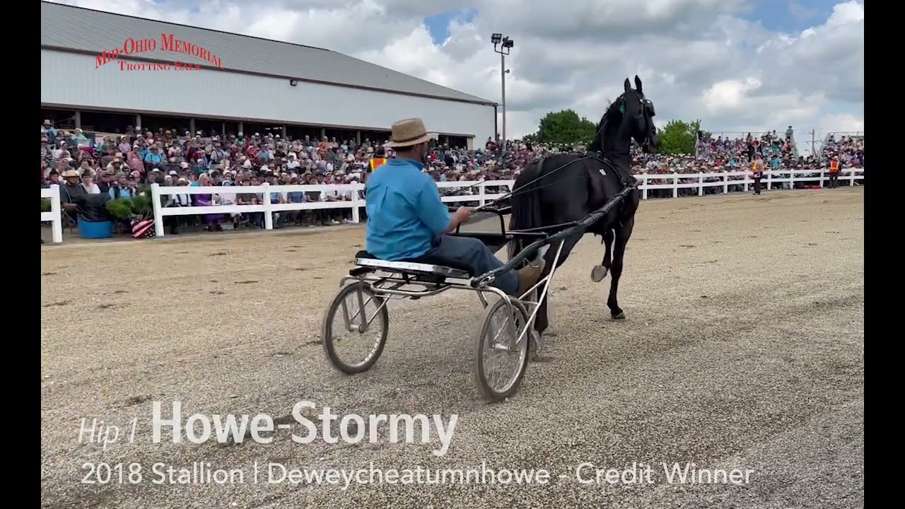 Hip 1 - Howe-Stormy $450 000 | Распродажа рысистых лошадей Mid Ohio Memorial 2022