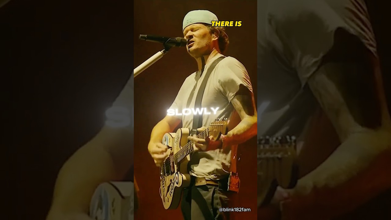 Blink - 182 - There is Live  #blink182