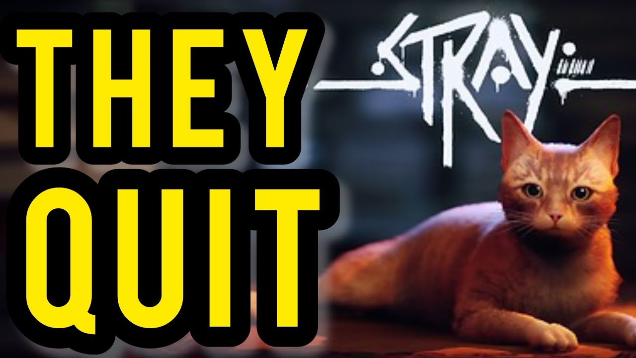 This Annapurna Interactive Situation Is WILD…