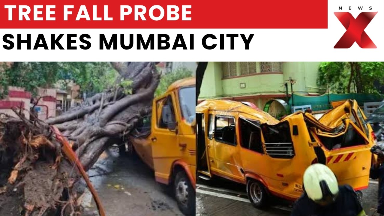 Mumbai Tree Collapse: Mayor Ritu Tawde Orders Probe Into Chembur School Bus Tragedy