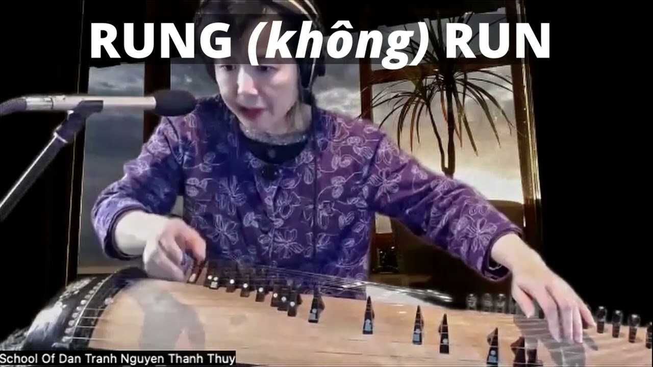 KỸ THUẬT RUNG Learning Vietnamese Zither: From Beginner to Advanced.