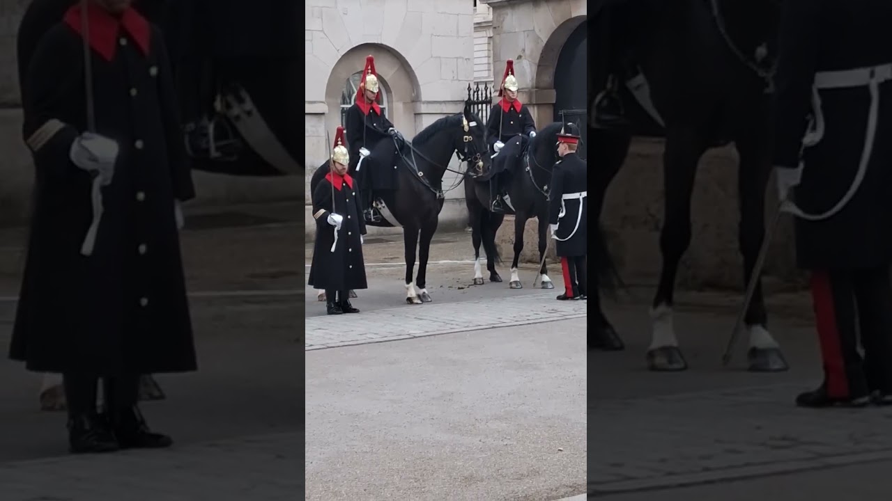 Retiring of the Guard 🫡 #kingsguard #history #london #whitehall