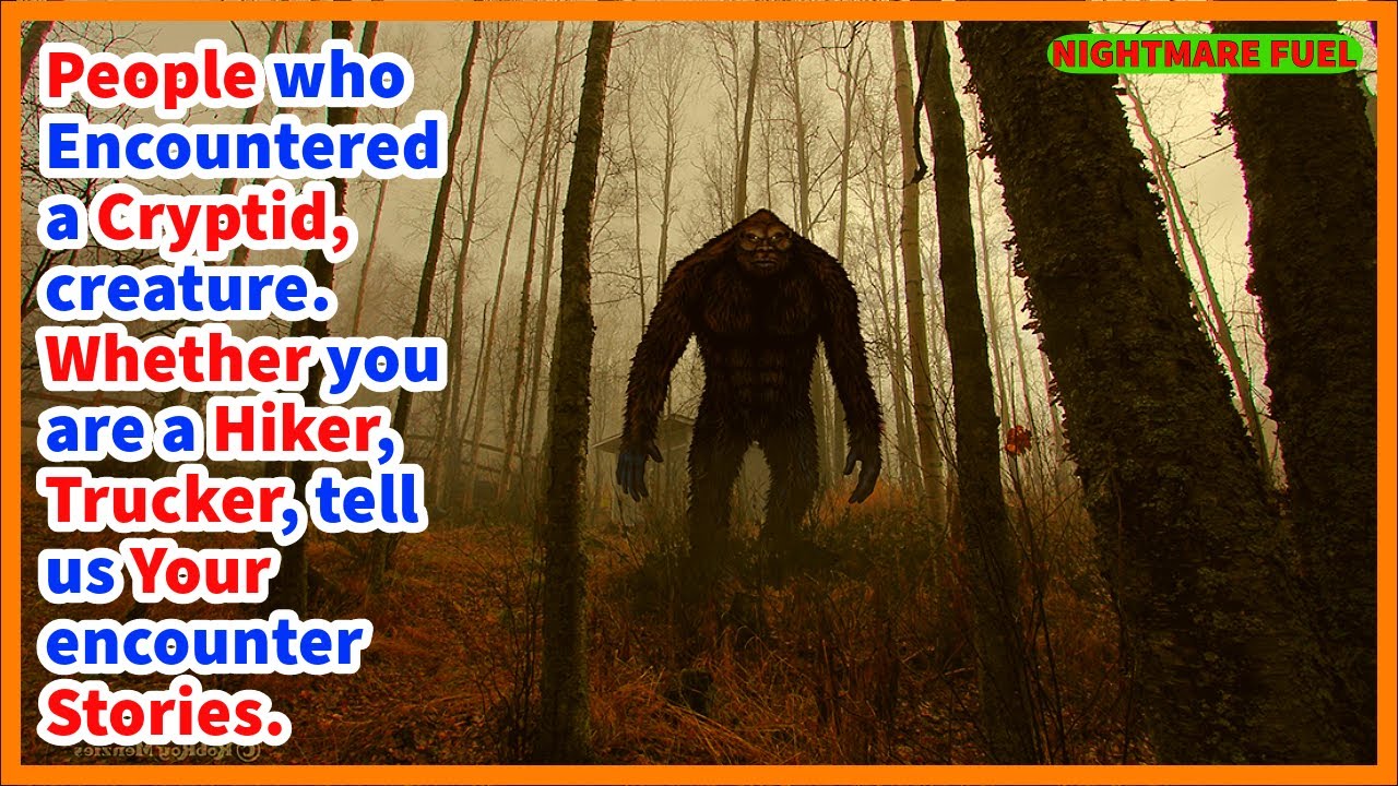 People who encountered a cryptid, creature. Whether you are a hiker, trucker, tell us your stories.