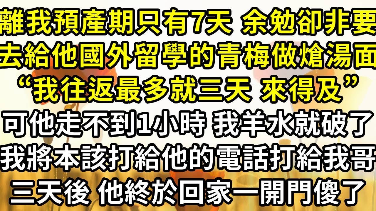 離我的預產期只有7天 余勉卻非要去給他國外留學的小青梅做熗湯面“我往返最多就三天 來得及”，可他走後不到1小時 我羊水就破了，我將本該打給他的電話轉打給我哥，三天後 他終於回家一開門傻了