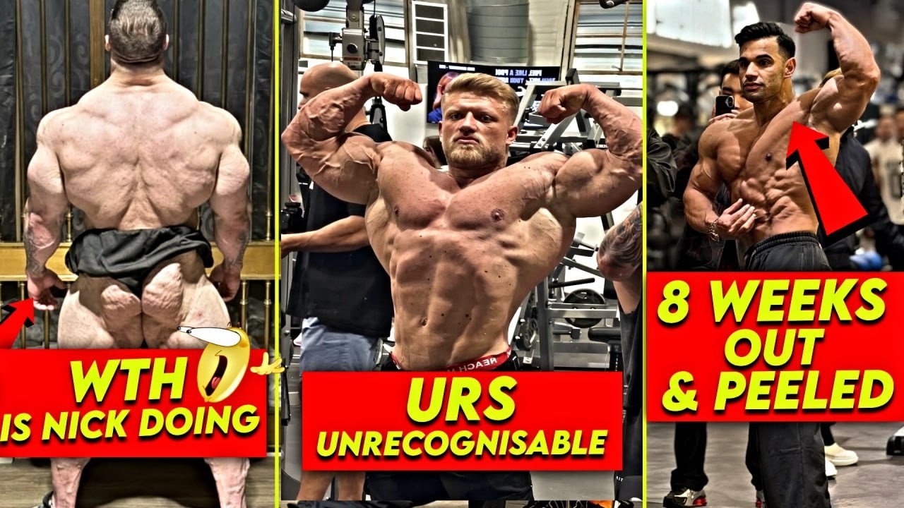 (हिन्दी) NICK IS CLOSEST TO 90S MONSTER ERA | URS IS MASSIVE NOW | ALI VS ERIN IS ON IN PITTSBURGH