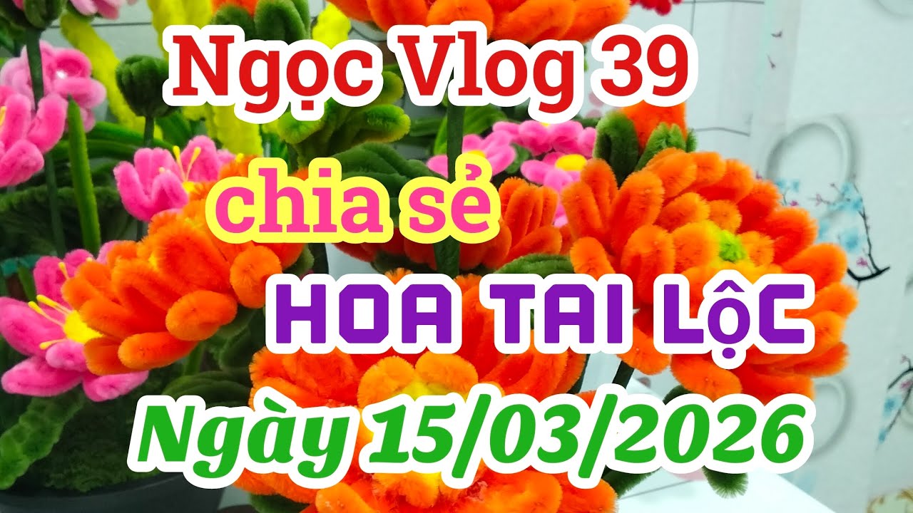 Ngoc Vlog 39 Chia Sẻ Những Chậu Hoa Kẽm Nhung Tài Lộc - Ngày 15/03/2026